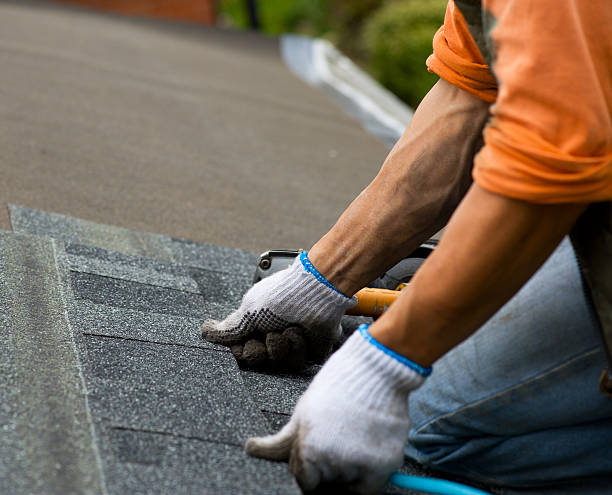 Best Roof Gutter Cleaning  in Atwood, TN